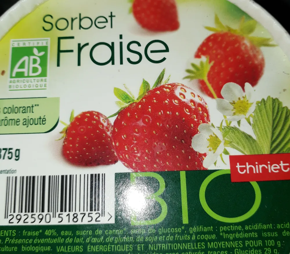 Sorbet fraise Bio