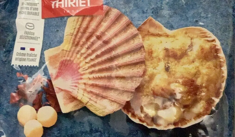 Coquilles saint jacques