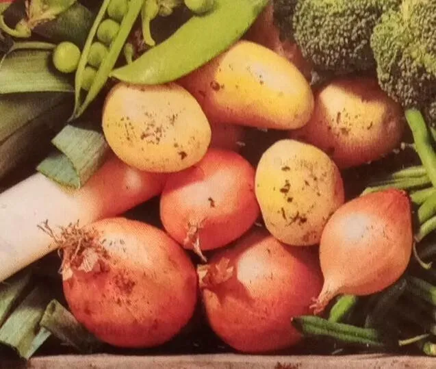 Légumes pour potage vert