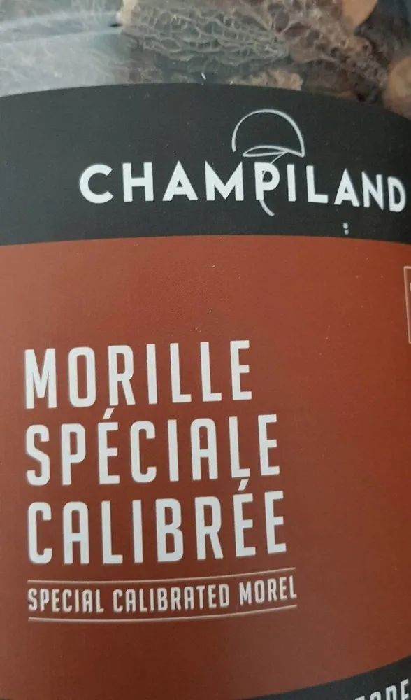 Morille spéciale calibrée