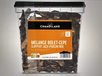 MELANGE BOLET-CEPE SLIPPERY JACK-PORCINI MIX