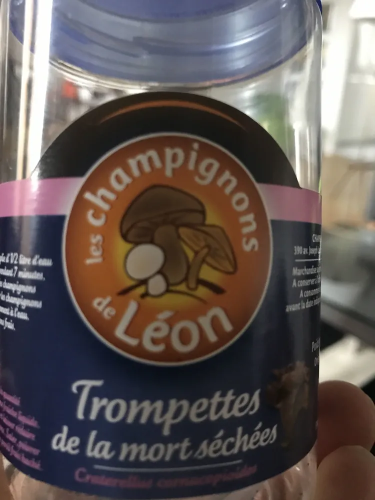 Trompettes de la mort
