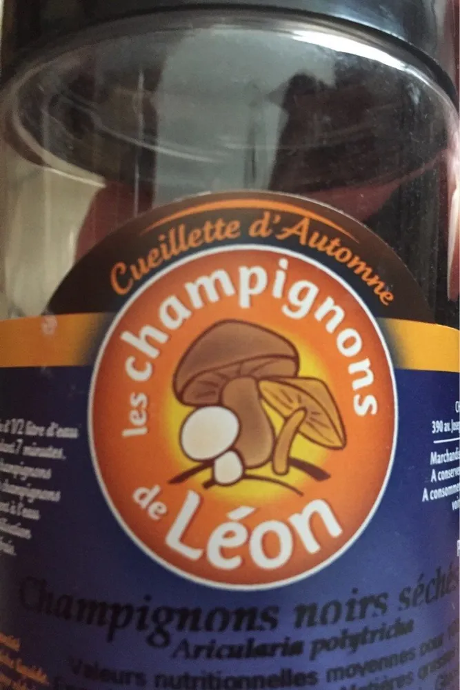 Champignons noirs sechés