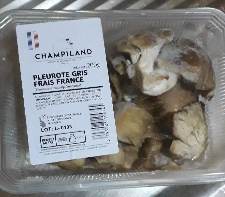 Pleurote gris frais en barquette 200gr