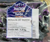 Mussels