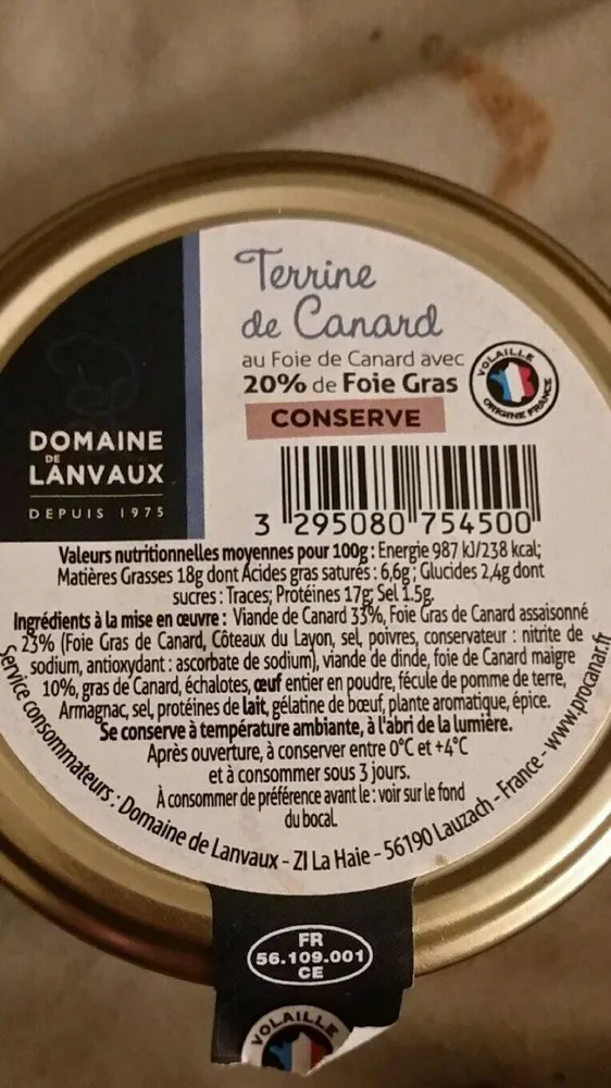 Terrine de canard