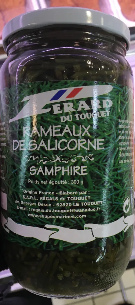 Rameaux de Salicorne