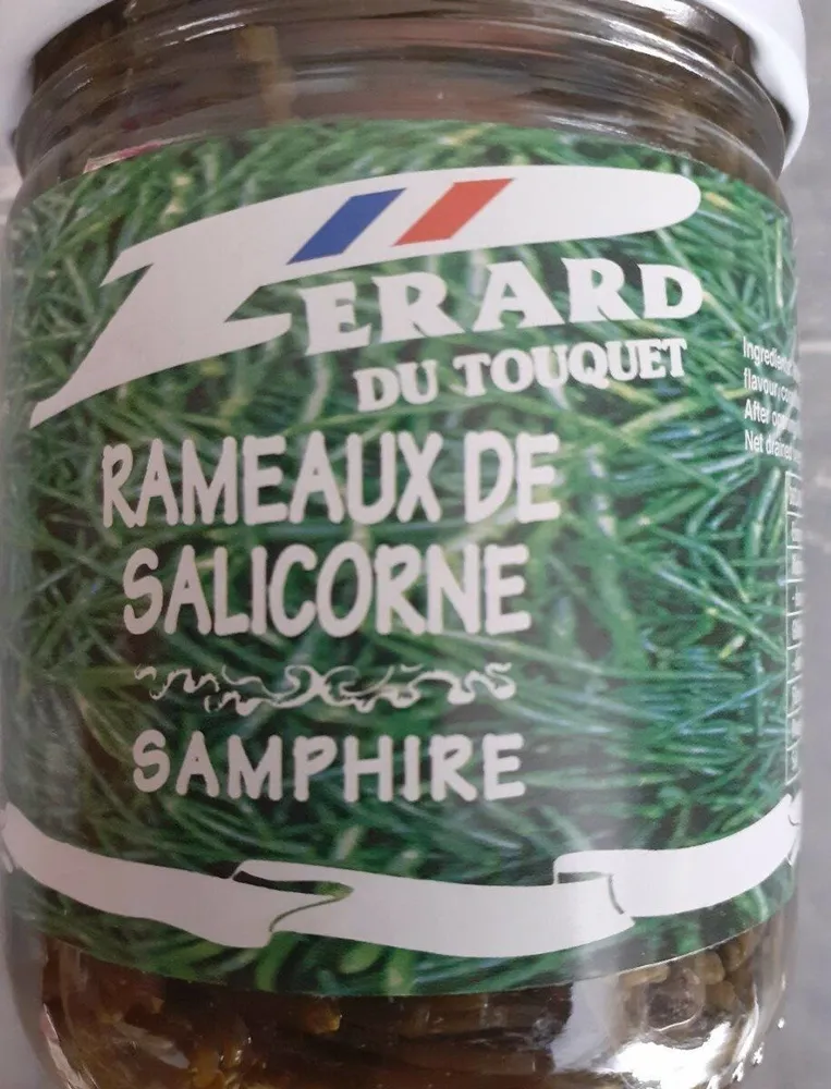 Rameaux de salicorne