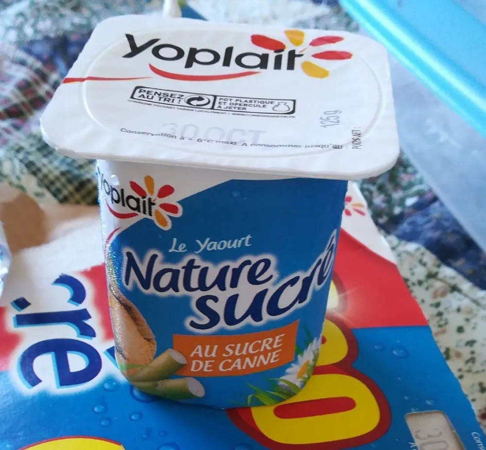 Le yaourt nature sucré au sucre de canne