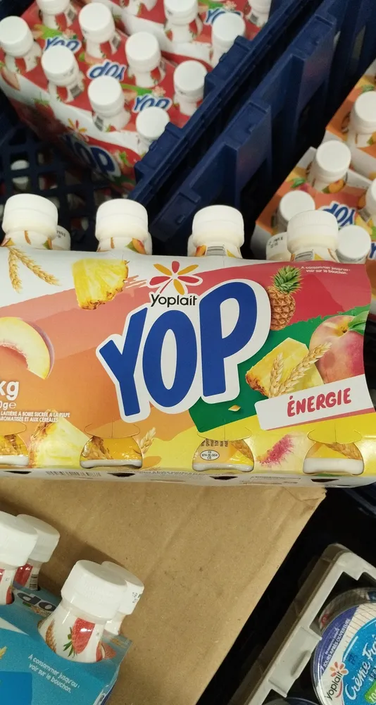 yop énergie x8