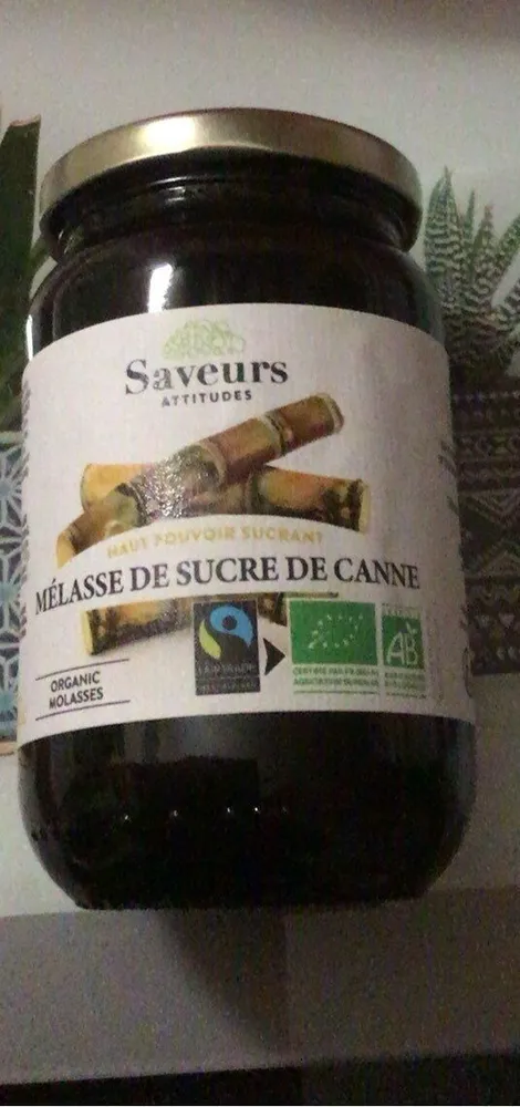Melasse de sucre de canne