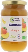 PREPARATION 100% FRUITS MANGUE