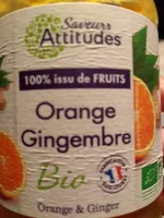 Puree Orange Gingembre