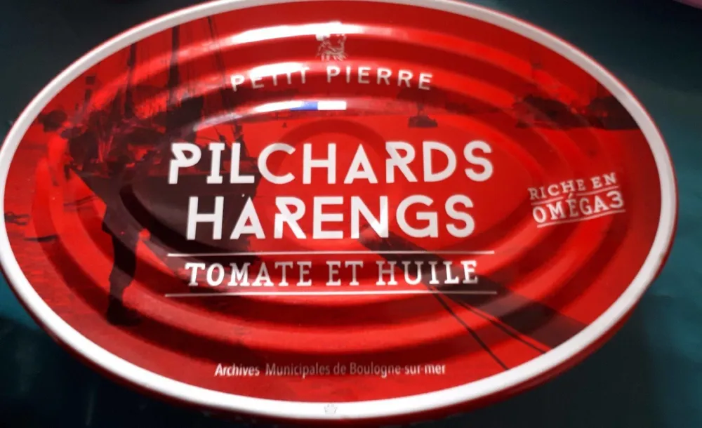 Pilchards harengs