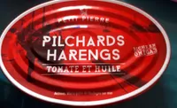 Pilchards harengs
