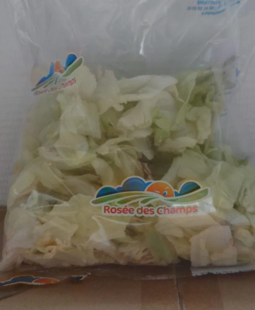Salade iceberg