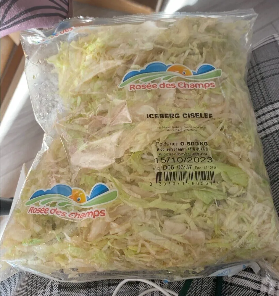 ICEBERG CISELEE