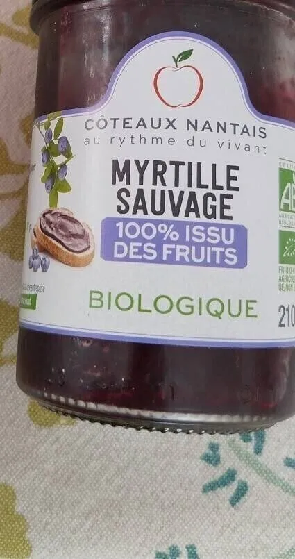 Myrtille sauvage 100% issu de fruits