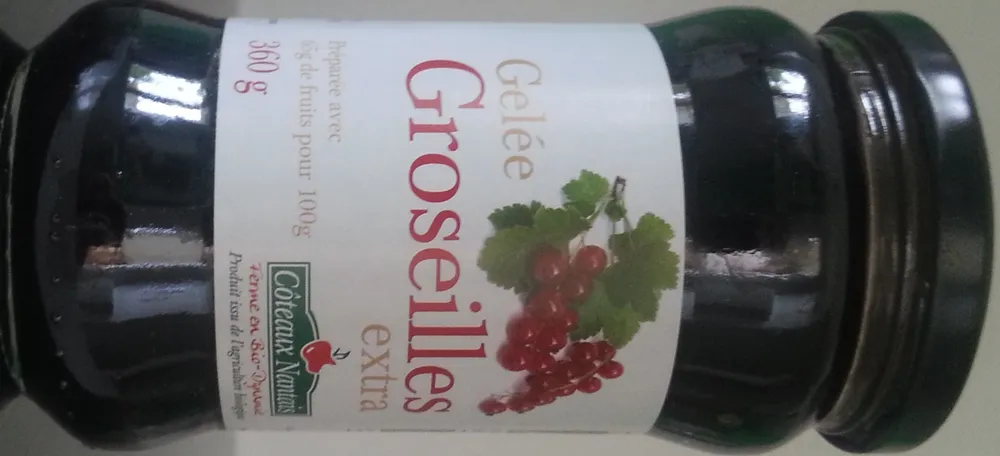 Gelée groseilles extra