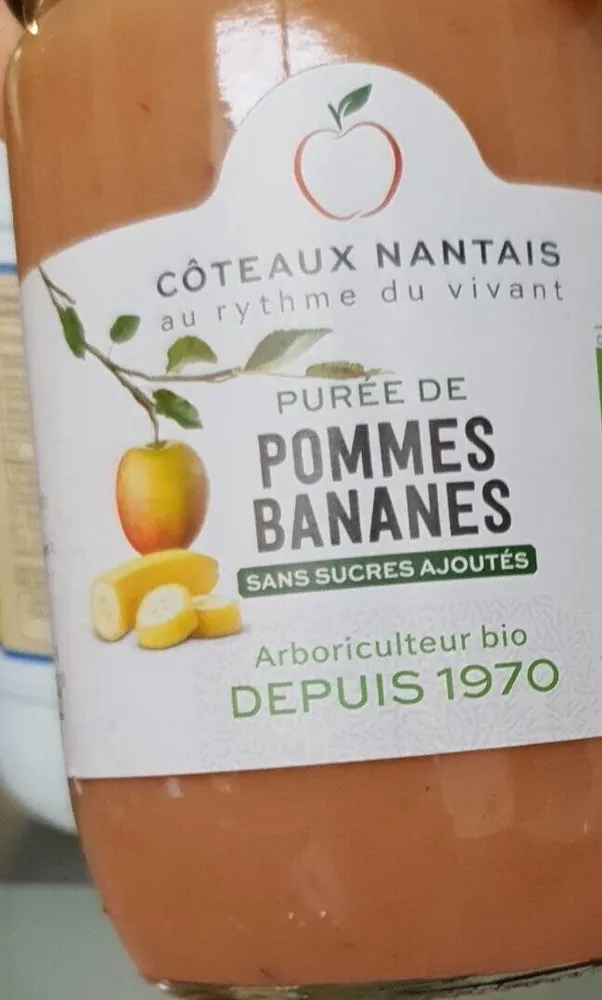Purée Pommes Bananes