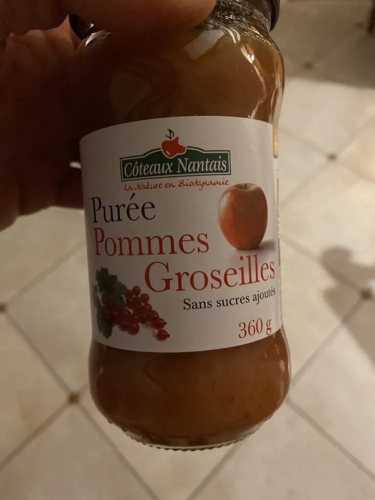 Purée pomme groseilles