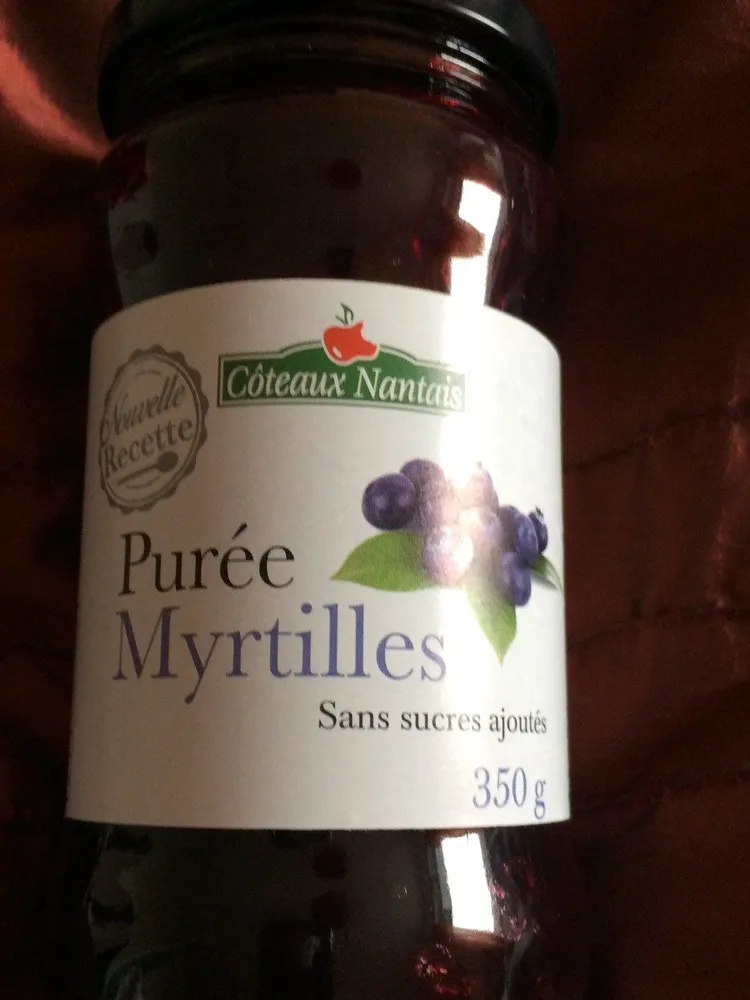 Wild Blueberry Sauce Without Added Sugars