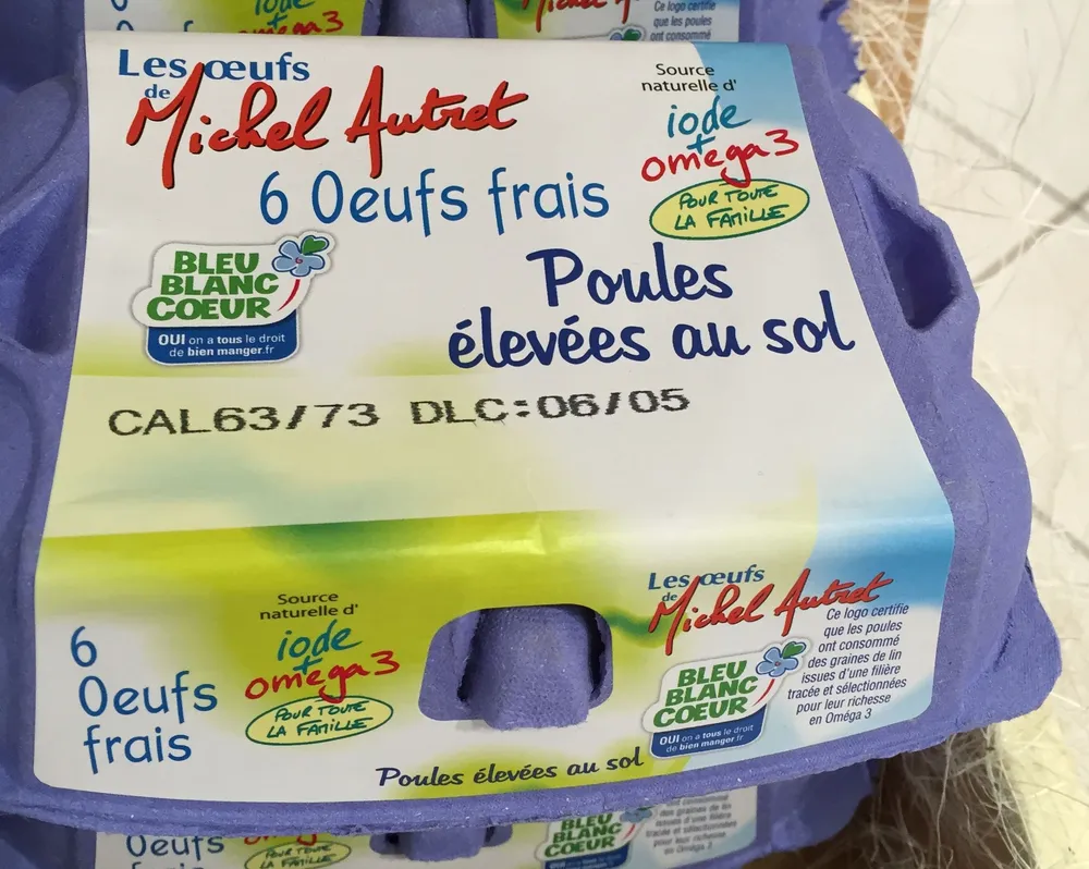 Oeufs frais poules élevées au sol
