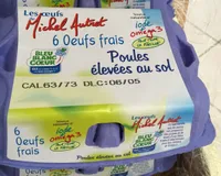 Oeufs frais poules élevées au sol
