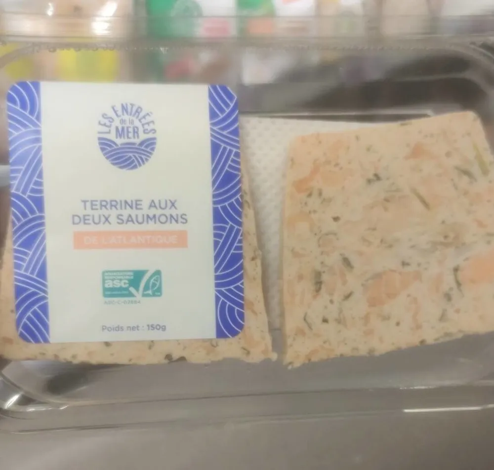 Terrine aux deux saumons