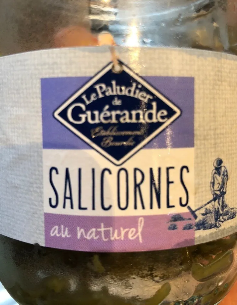 Salicornes