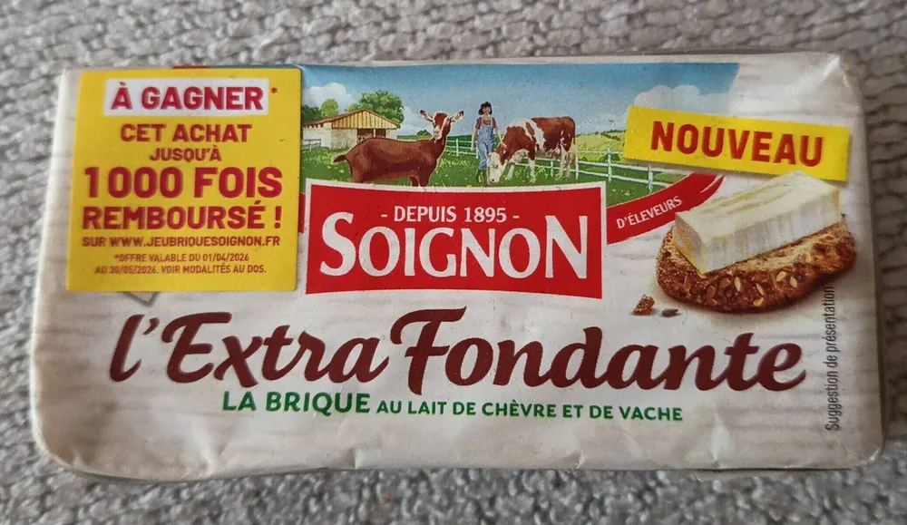 Brique soignon l' extra fondante