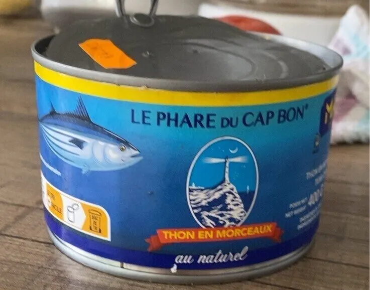 Thon en morceaux