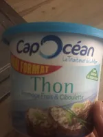 Thon fromage frais et ciboulette
