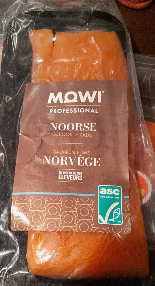 Saumon atlantique