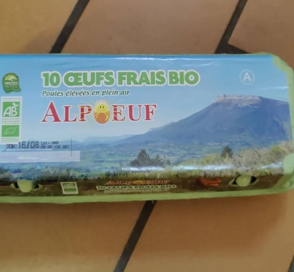 10 oeufs frais bio