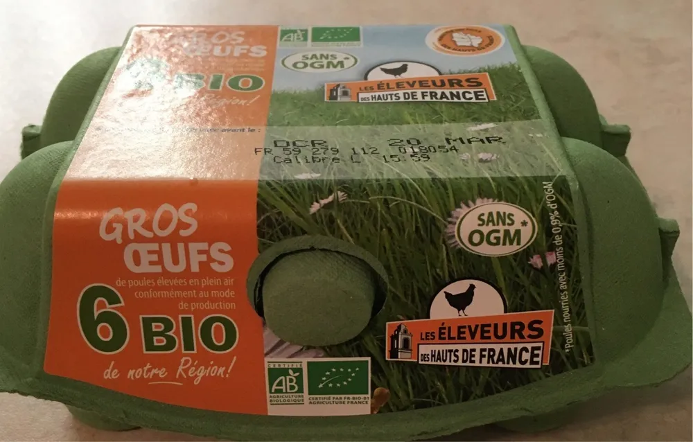 Gros oeufs 6 bio