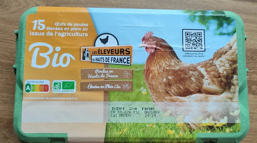 Oeufs de poules élevées en plein air