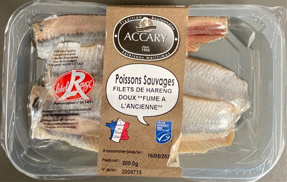 Filets de hareng