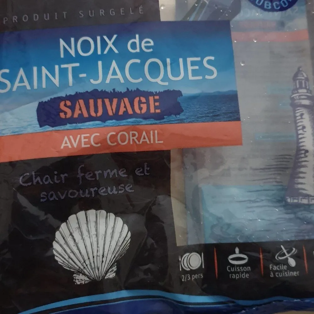 Noix de st Jacques sauvage avec corail