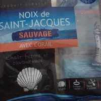 Noix de st Jacques sauvage avec corail
