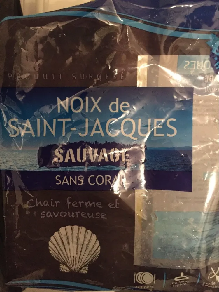 Noix de saint jacques sauvage