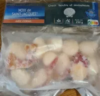 Noix de Saint Jacques