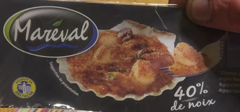 Coquille saint jacque