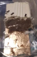 Bûchette praliné parfum vanille