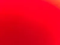 Cone st jacques ecrevisses tomates