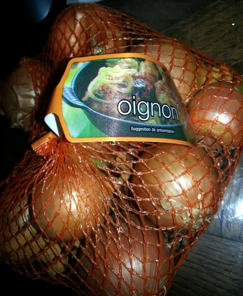 Oignon jaune