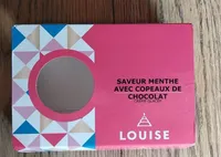 Crème Glacée Saveur menthe avec copeaux de chocolat
