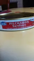 Pilchards sardines
