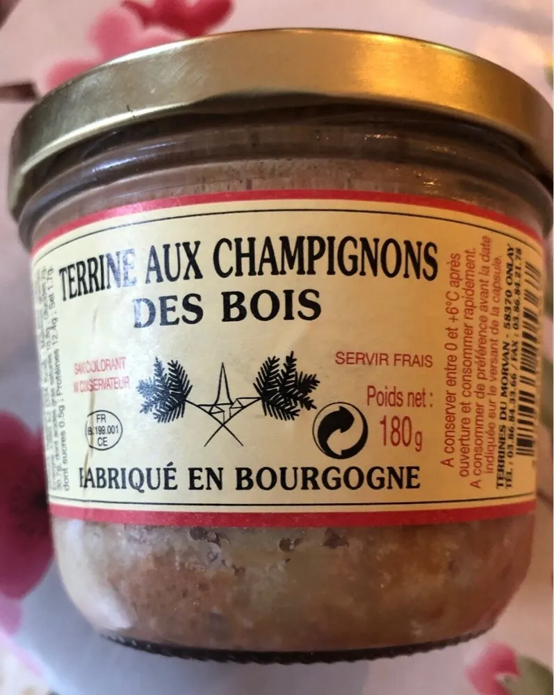 Terrine aux champignons des bois