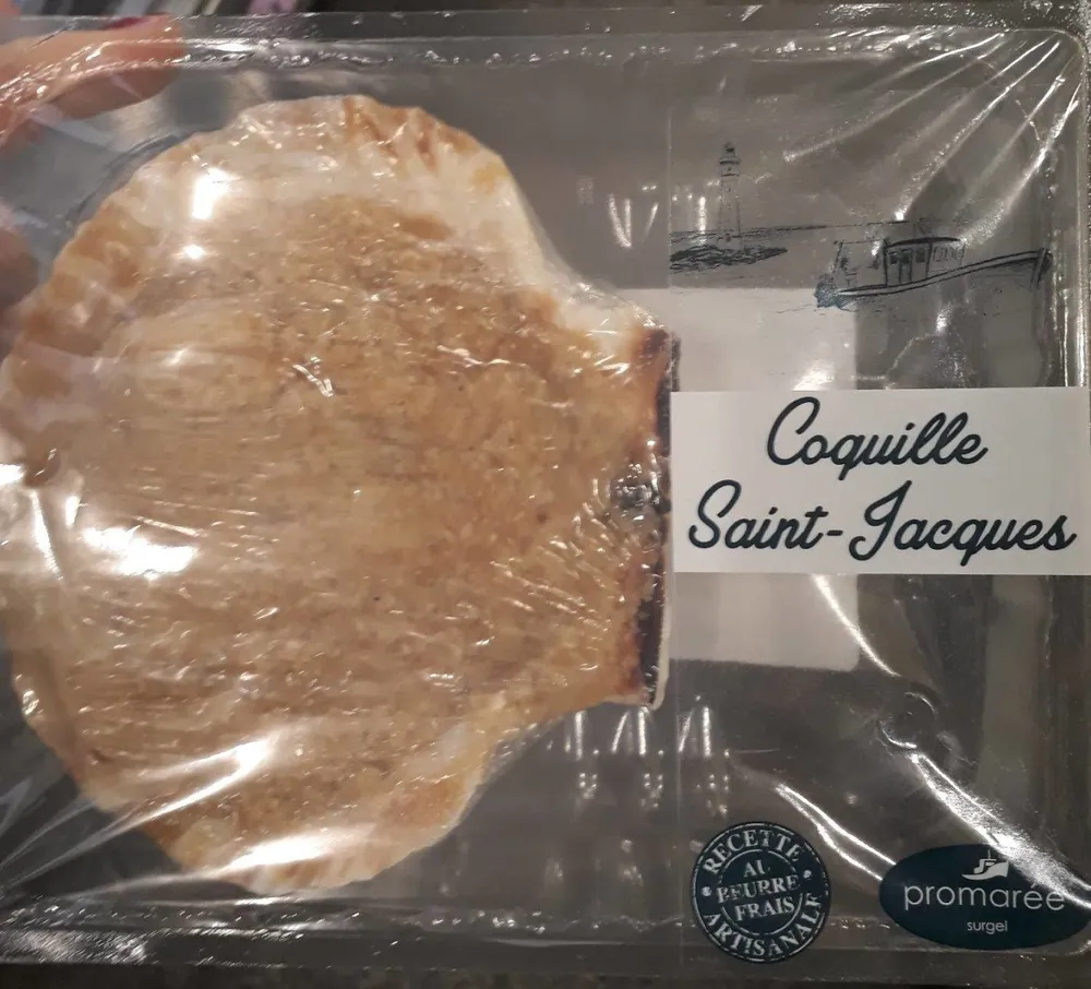 Coquille Saint-Jacques